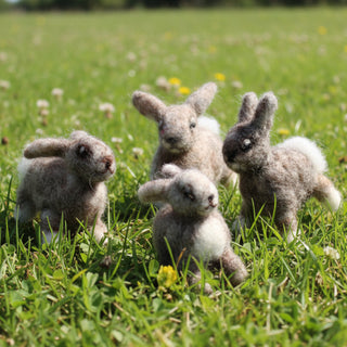 Kate Beauregard - Felted Bunnies - various