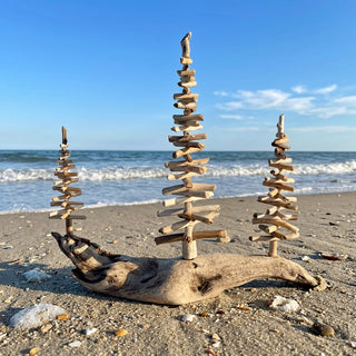 Drift Roots (Wes Robertson) - Driftwood Trees, 3 mounted