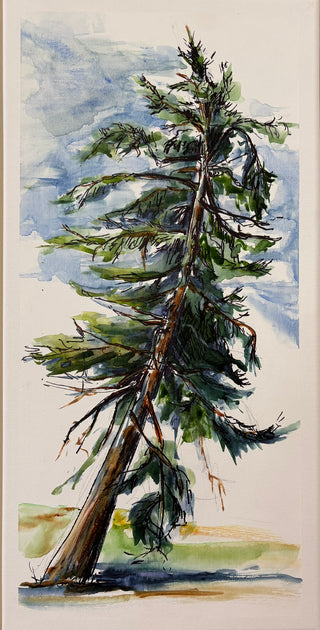 MAC School - Art Bites - Art of Tree Portraits with Dorota Goede -  Sept 27, 2026