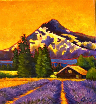 Lavender Fields Forever