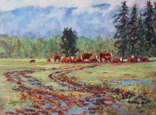 Murphy's Cattle