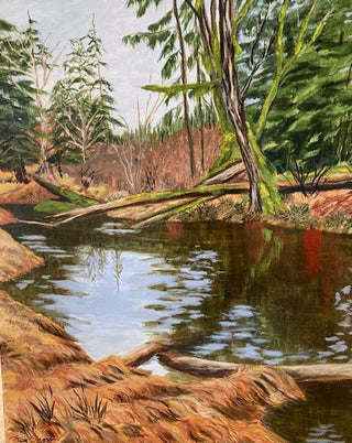 Oyster River Stream