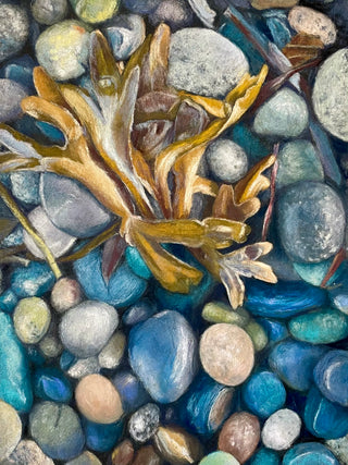 Tidal Treasures