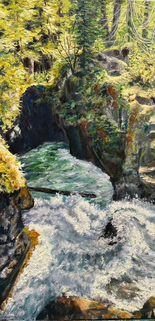Qualicum Falls