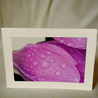 Colleen Stewart - Card - Pink tulip with raindrops - Colleen Stewart - McMillan Arts Centre Gallery, Gift Shop and Box Office - Vancouver Island Art Gallery
