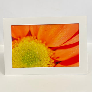 Colleen Stewart - Card - Orange petals - Colleen Stewart - McMillan Arts Centre Gallery, Gift Shop and Box Office - Vancouver Island Art Gallery