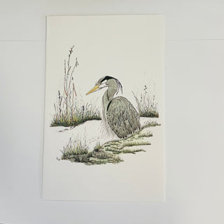 Donna D'Aquino - Card - "Heron Series" oversized 6" x 9" - Donna D'Aquino - Card - McMillan Arts Centre & MAC Box Office