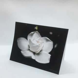 David Blackmore - Card - "My Gracious Love" (Magnolia) - David Blackmore - Card - McMillan Arts Centre & MAC Box Office