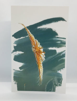 Ice Bear - Card - Hawk - MAC-Donation - McMillan Arts Centre Gallery, Gift Shop and Box Office - Vancouver Island Art Gallery