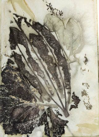 Jeanette Hawkes -  Card Eco print - Jeanette Hawkes - McMillan Arts Centre Gallery, Gift Shop and Box Office - Vancouver Island Art Gallery