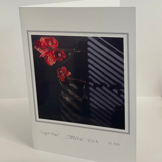 Birgit Coath - Card - "Light Play" - limited edition & signed - Birgit Coath - Card - McMillan Arts Centre & MAC Box Office