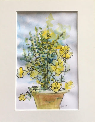 Fran Renwick - Watercolour painting - Potted plant, matted, unframed - Fran Renwick - McMillan Arts Centre Gallery, Gift Shop and Box Office - Vancouver Island Art Gallery