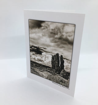 Nicholas Zoltay - Card - "Expanding Landscape" - Nicholas Zoltay - Card - McMillan Arts Centre & MAC Box Office