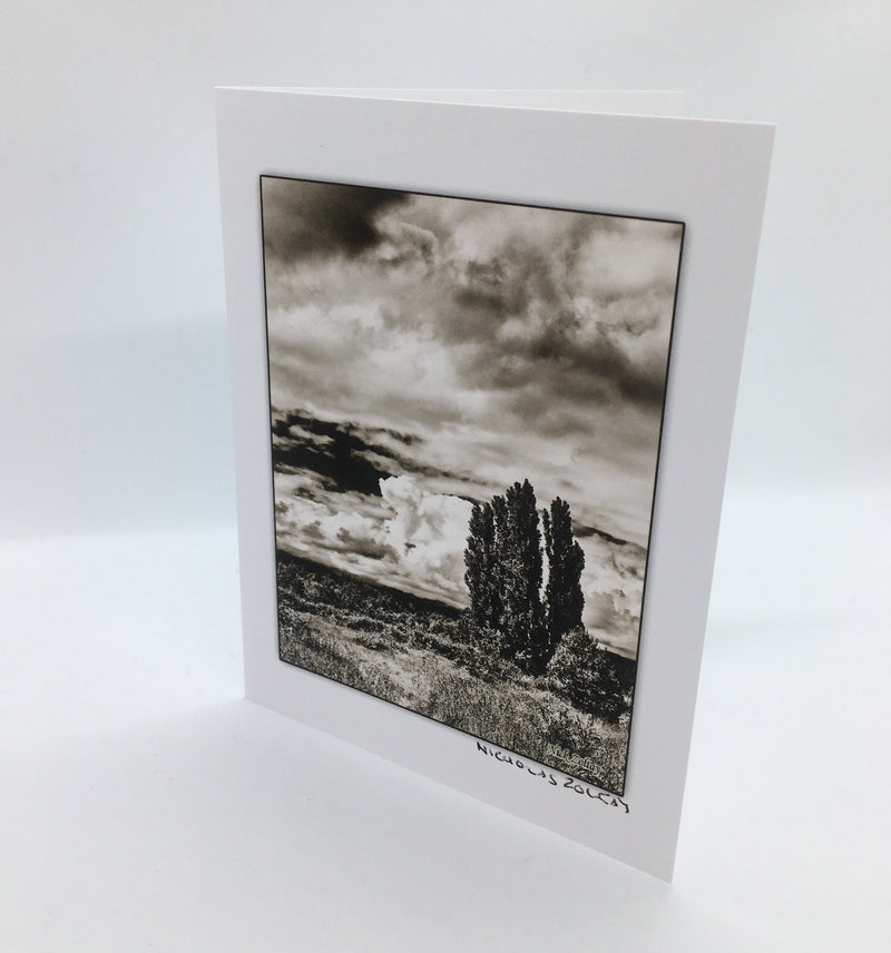 Nicholas Zoltay - Card - "Expanding Landscape" - Nicholas Zoltay - Card - McMillan Arts Centre & MAC Box Office