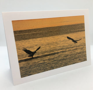 Jane Davidson - Card - Qualicum Beach - Jane Davidson - McMillan Arts Centre Gallery, Gift Shop and Box Office - Vancouver Island Art Gallery