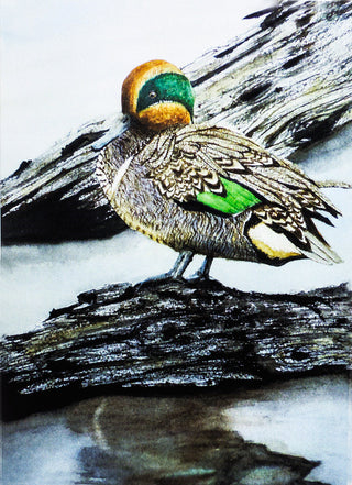 Wendy Schmidt - Card - "Look at Me" - Wendy Schmidt - Card - McMillan Arts Centre & MAC Box Office