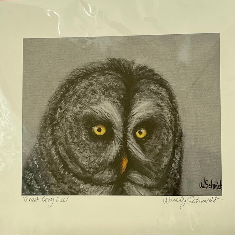 Wendy Schmidt - Print - "Great Grey Owl" 14" x 12" - wendy Schmidt - Print - McMillan Arts Centre & MAC Box Office