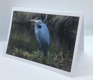 William Allen - Card - Heron - William Allen - McMillan Arts Centre Gallery, Gift Shop and Box Office - Vancouver Island Art Gallery