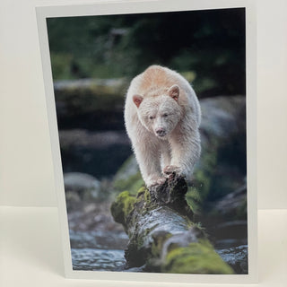 Jim Decker - Card - Spirit Bear - MAC-Donation - McMillan Arts Centre Gallery, Gift Shop and Box Office - Vancouver Island Art Gallery