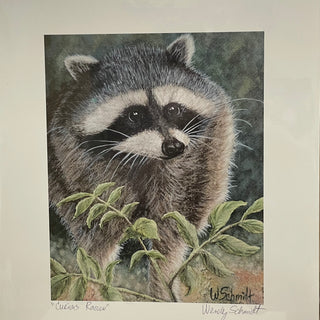 Wendy Schmidt - Print - "Curious Racoon"  12" x 14" - wendy Schmidt - Print - McMillan Arts Centre & MAC Box Office