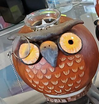 Lynn Symington - Gourd Art - Wise Owl with tea light insert - Lynn Symington - McMillan Arts Centre Gallery, Gift Shop and Box Office - Vancouver Island Art Gallery