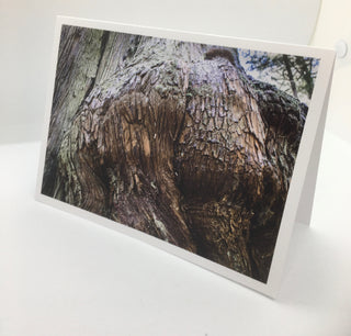 Aaron Yukich - Card - Avatar Grove - Aaron Yukich - McMillan Arts Centre Gallery, Gift Shop and Box Office - Vancouver Island Art Gallery