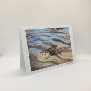 Kelly Corbett - Card - "Sand Dollar" - Kelly Corbett - Card - McMillan Arts Centre & MAC Box Office