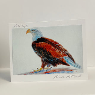 Patricia Mansell - Card -Bald Eagle - Patricia Mansell - McMillan Arts Centre Gallery, Gift Shop and Box Office - Vancouver Island Art Gallery