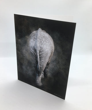 David Blackmore - Card - "Hiding in Plain Sight" - David Blackmore - Card - McMillan Arts Centre & MAC Box Office