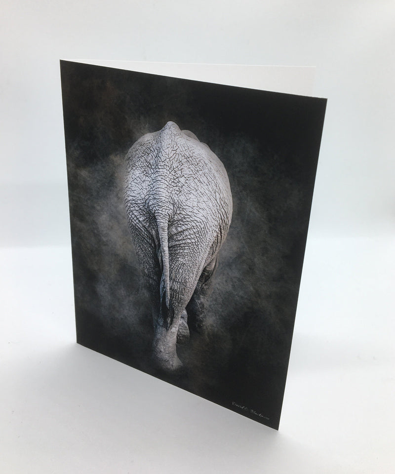 David Blackmore - Card - "Hiding in Plain Sight" - David Blackmore - Card - McMillan Arts Centre & MAC Box Office