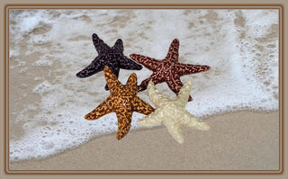 Ponderosa Designs - Pottery - Sea Star ornament, 2.7" - Elaine Bohm - Pottery - McMillan Arts Centre & MAC Box Office