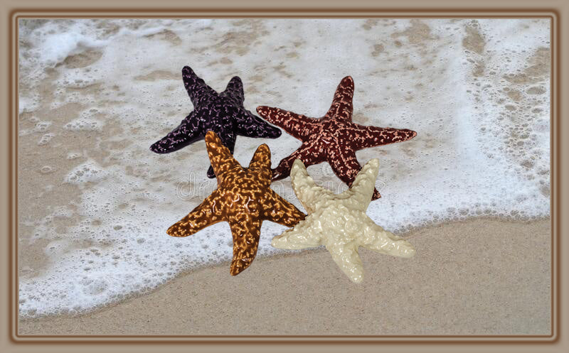 Ponderosa Designs - Pottery - Sea Star ornament, 2.7" - Elaine Bohm - Pottery - McMillan Arts Centre & MAC Box Office